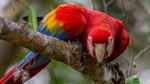 3 Day - Posada Amazonas Classic Program Group Tour