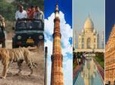 7-Night Private Tour of India's Golden Triangle, Palaces, and Tigers