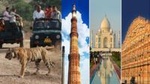 7-Night Private Tour of India's Golden Triangle, Palaces, and Tigers