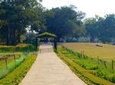A Walk Through Delhi's Most Important Park - The Lodhi Gardens
