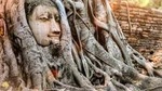 Ancient City Ayutthaya Private Guided Day Tour