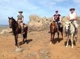 Aruba Private, 2 Hour Horseback Riding Tour For Advanced Riders