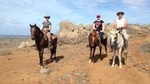 Aruba Private, 2 Hour Horseback Riding Tour For Advanced Riders