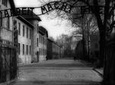 Auschwitz Memorial and Museum Tour - Private Transport with tickets