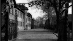 Auschwitz Memorial and Museum Tour - Private Transport with tickets