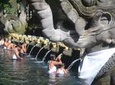 Bali Traditional Tours