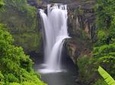 Bali Highlights Private Tour with Elephant Cave and Rice Field