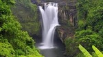 Bali Highlights Private Tour with Elephant Cave and Rice Field