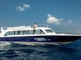 Blue Water Express Boat Transfer From Serangan Or Padang Bai To Lombok Or Vice Versa