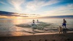 Breathtaking Curonian life in a day