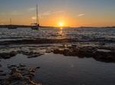 Sunset Catamaran Expedition in front of Cafe Mambo
