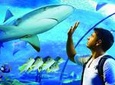 Cairns Aquarium Admission Ticket