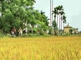 Cam Kim Bike Tour