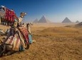 Camel Ride at Giza Pyarmids During Sunset