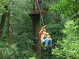 Rainforest Canopy Tour From Sarapiquí