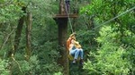 Rainforest Canopy Tour From Sarapiquí