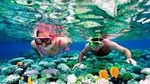 Mesoamerican Barrier Reef Skip-the-Line Small-Group Snorkel