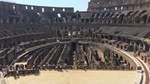 Colosseum Tour with entrance from the Arena fast track sharing tour