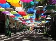 Guided Cultural City Tour of North Mauritius with Botanical Garden Visit