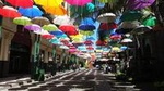 Guided Cultural City Tour of North Mauritius with Botanical Garden Visit