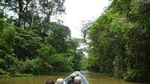 Cuyabeno 4 Day Jungle Tour