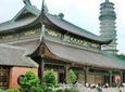 Daily Tour Trang An-Bai Dinh Group Tour