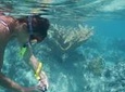 Discover Mun Island with Scuba Diving Tour