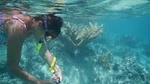 Discover Mun Island with Scuba Diving Tour