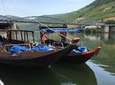 Douro Valley Private Tour with boat and lunch and wine tasting in a vineyard