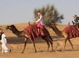 Dubai Camel Rock Desert Safari Nonstop Adventurous Drive and Dune Bashing