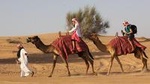 Dubai Camel Rock Desert Safari Nonstop Adventurous Drive and Dune Bashing