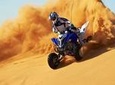 Dubai Desert Safari with Quad Bike & Dune Bashing & Camel Ride & BBQ Dinner 