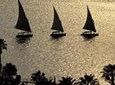 Egyptian Museum and Felucca Ride on the Nile River with Lunch