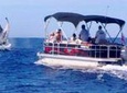 Elite Luxury Tritoon