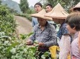 Private 1-Day Tea Experience in Taipei