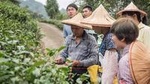 Private 1-Day Tea Experience in Taipei