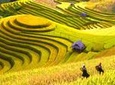 Explore Hanoi Halong Sapa 5 days package