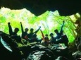 Explore Mt. Fuji Ice Cave in Aokigahara Forest