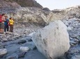 Fox Glacier Valley Eco Tour
