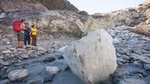 Fox Glacier Valley Eco Tour