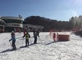 Full Day Ski Tour at Jisan Forest and Everland