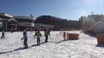 Full Day Ski Tour at Jisan Forest and Everland