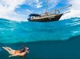 PILLI PIPA DHOW, the genuine product, snorkeling tour to Kisite Marine Park 