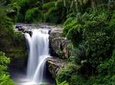 Full-Day Ubud Tour with Waterfall and Kecak Fire Dance in Batubulan Village