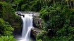 Full-Day Ubud Tour with Waterfall and Kecak Fire Dance in Batubulan Village