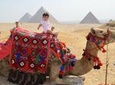 Full day Visit Giza Pyramids and Sakkara and Dahshour and memphis with Lunch