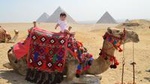 Full day Visit Giza Pyramids and Sakkara and Dahshour and memphis with Lunch