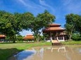 Indulge in Authentic Thai Flavors and Serene Organic Farm
