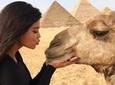 Half day Private tour to Giza pyramids Sphinx