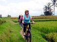 Half-Day Ubud Rice Field and Village Cycling Tour